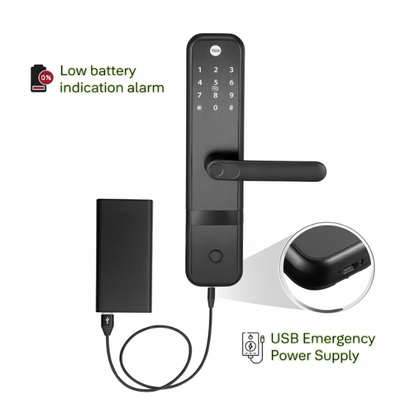 Yale Zuri (Black, Antique Brass)